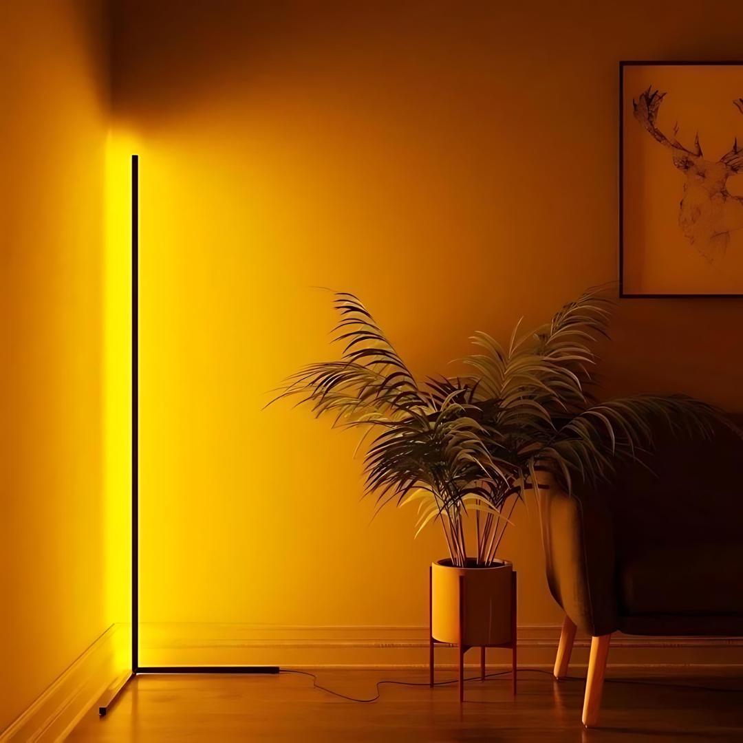 Light Floor Lamp